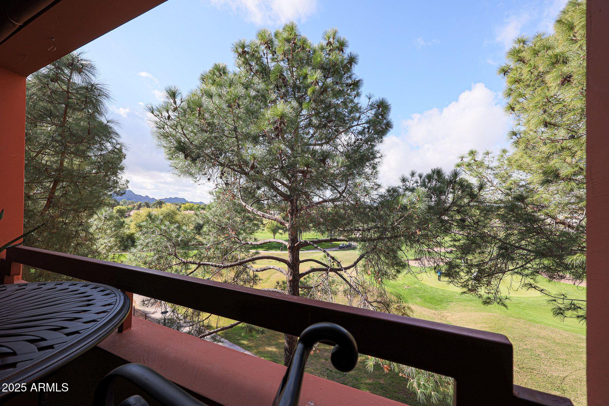 4303 East Cactus Road, Unit 331 Phoenix, AZ 85032 - Photo 9 of 34 WONDERFUL VIEW
