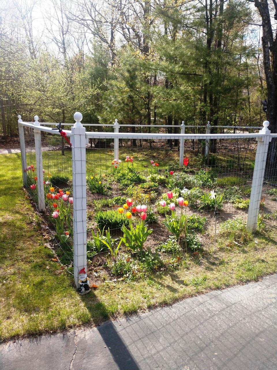 5249 Greenloch Road Rhinelander, WI 54501 - Photo 15 of 18 Gallery Image 15