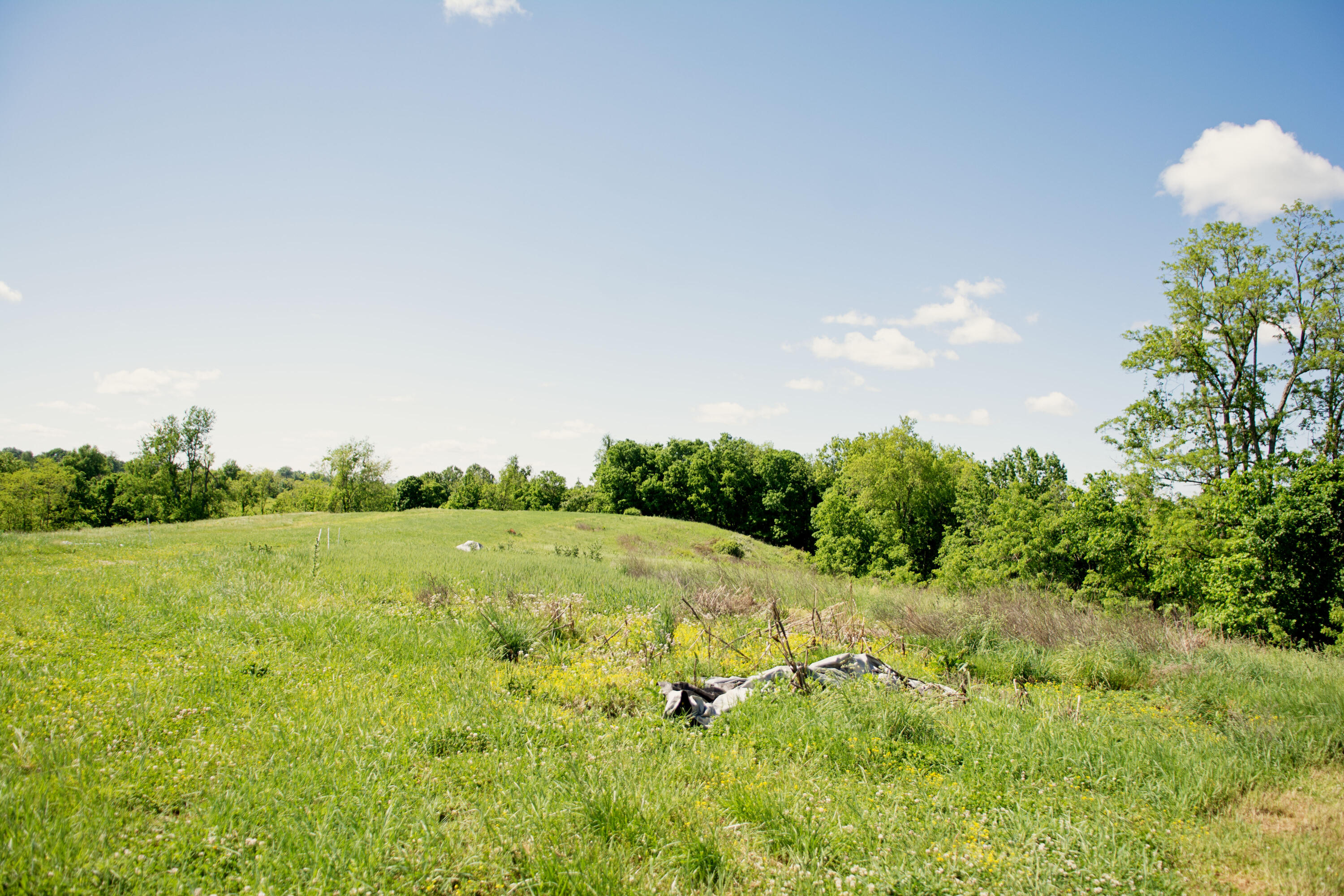 9733 Buckeye Road Lancaster, KY 40444 - Photo 18 of 31 DSC_1989 copy