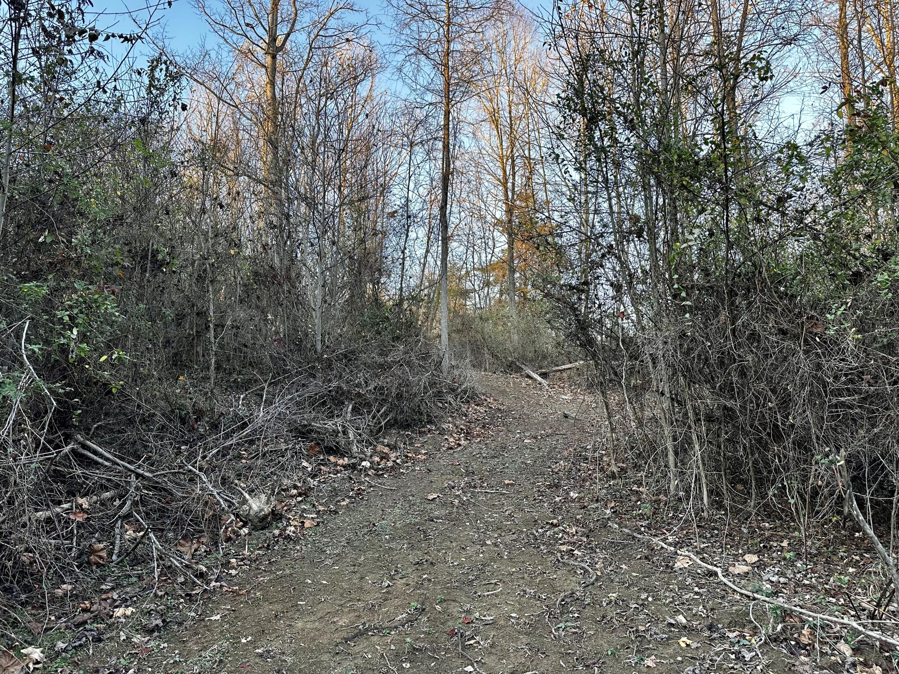 7374 Dutch Ridge Road, Unit TRACT 2 AT DUTCH RIDGE) New Straitsville, OH 43766 - Photo 27 of 31 20241111_214845465_iOS