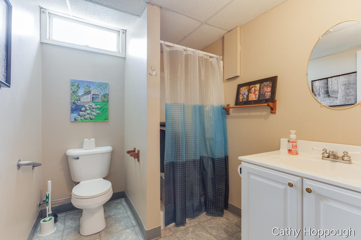 8152 Murphy Road Lyons, MI 48851 - Photo 17 of 74