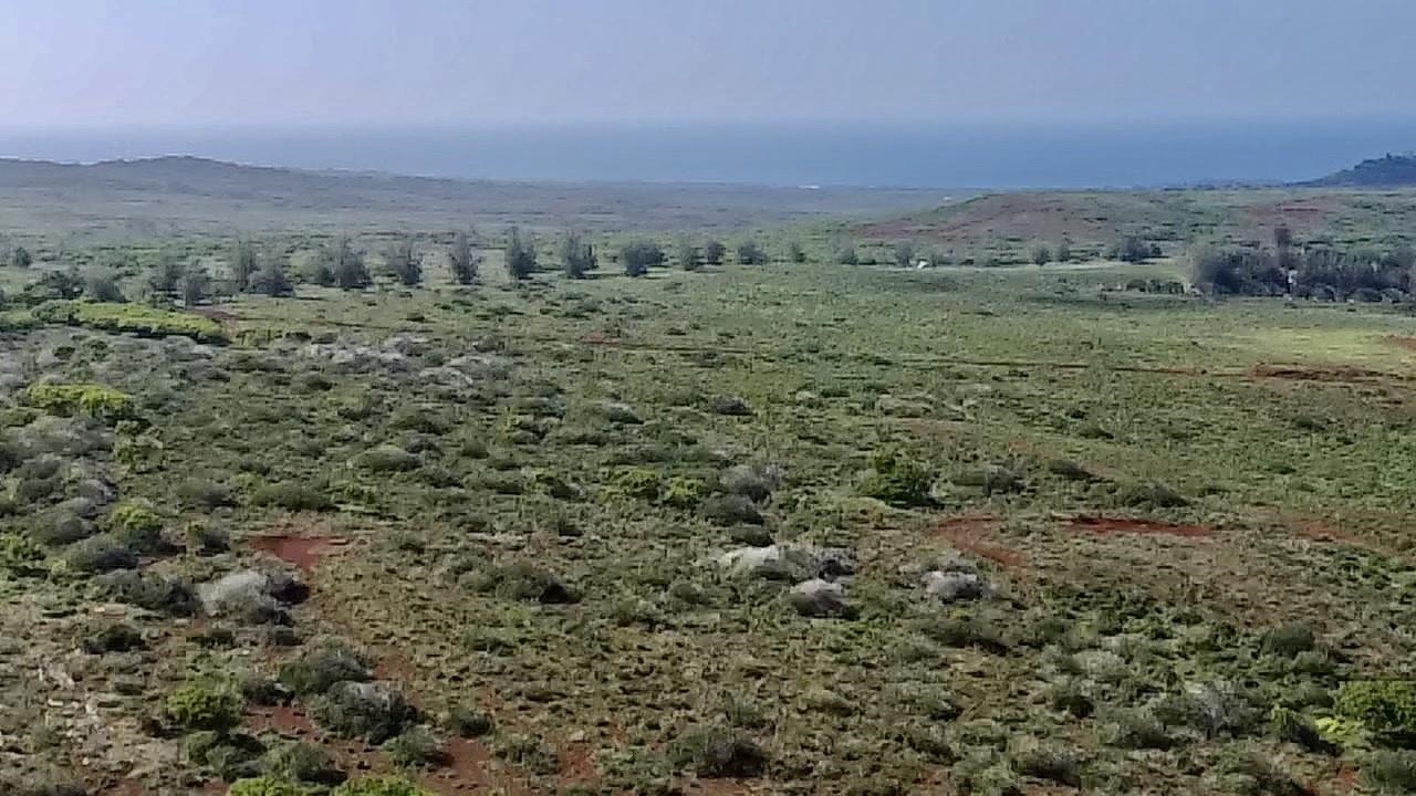 0 Kalua Koi Road, Unit 47 Maunaloa, HI 96770 - Photo 11 of 18 a view of a field with trees and houses