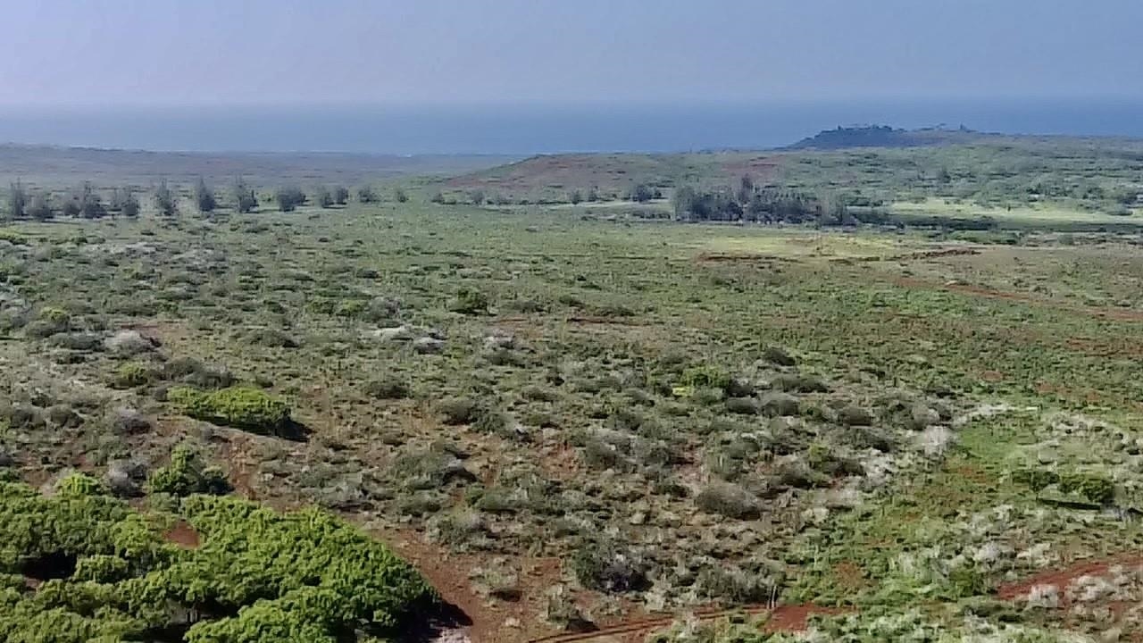 0 Kalua Koi Road, Unit 47 Maunaloa, HI 96770 - Photo 7 of 18 a view of a field with trees in the background