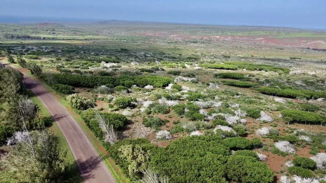 0 Kalua Koi Road, Unit 47 Maunaloa, HI 96770 - Photo 10 of 18 an aerial view of residential houses with outdoor space and trees
