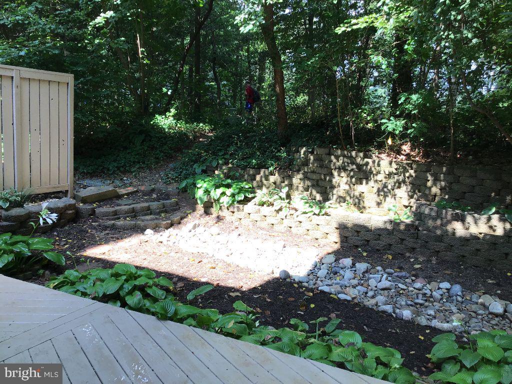 11677 Newbridge Court Reston, VA 20191 - Photo 3 of 23 Rear Yard View Into Woods