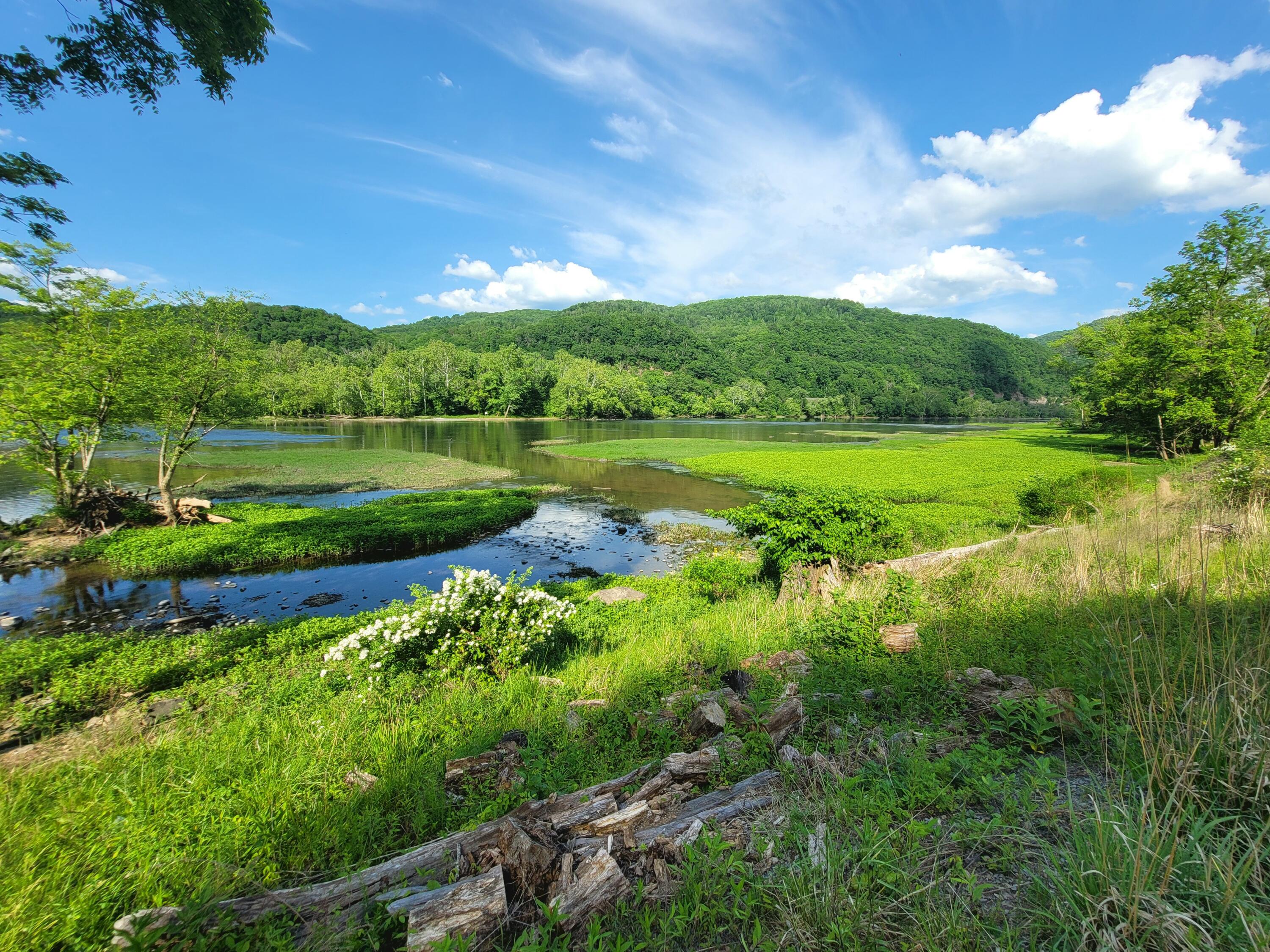 1353 New River Road Hinton, WV 25951 - Photo 34 of 35 20260519_172434
