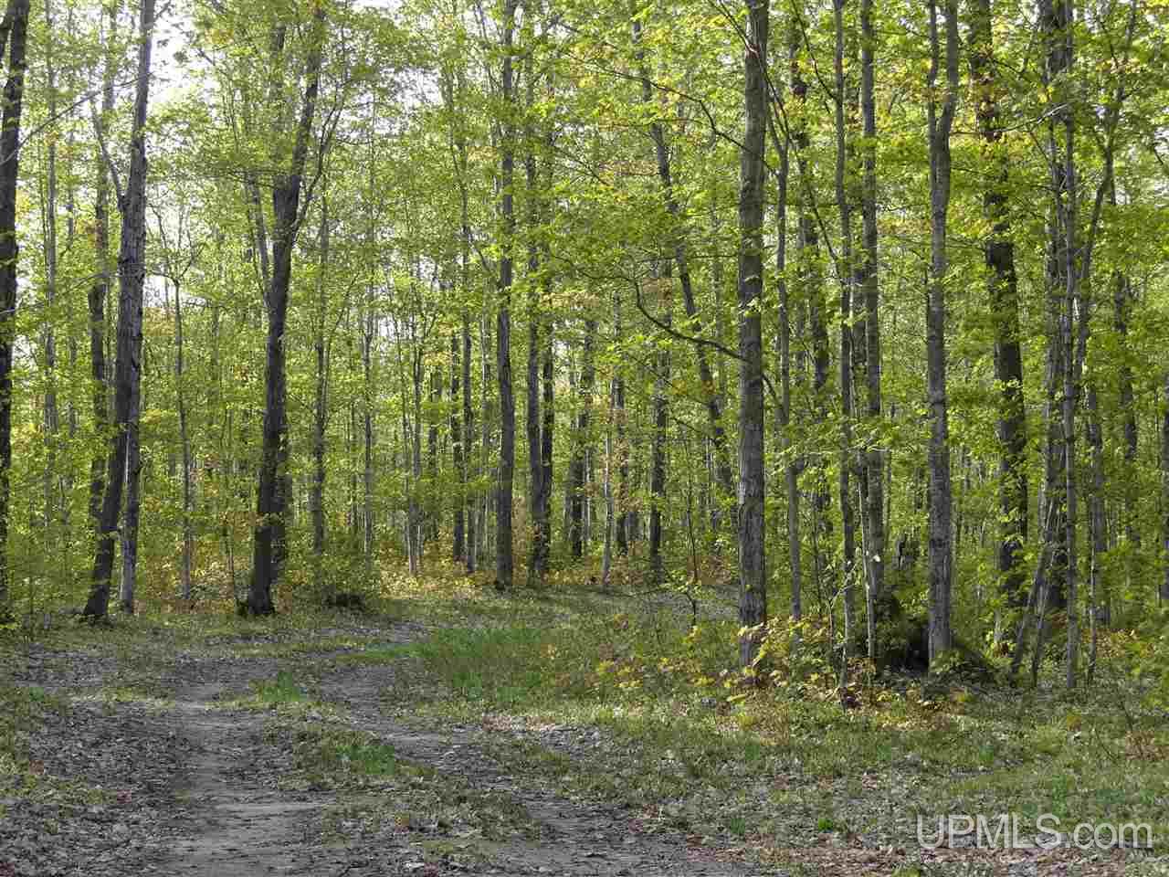 Tbd Coles Creek Road, Unit PARCEL 11 Hancock, MI 49931 - Photo 6 of 12