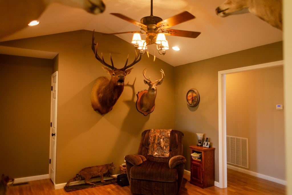 2883 Breeding Road Edmonton, KY 42129 - Photo 11 of 20 Gallery Image 11
