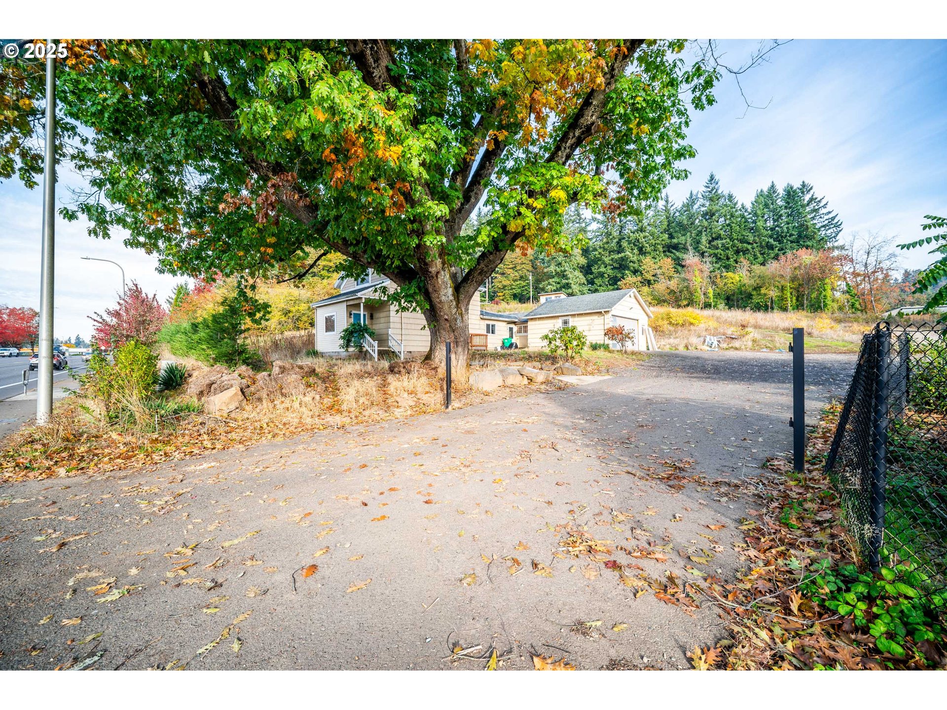 12533 Southeast Sunnyside Road Clackamas, OR 97015 - Photo 14 of 29 a view of yard with large tree