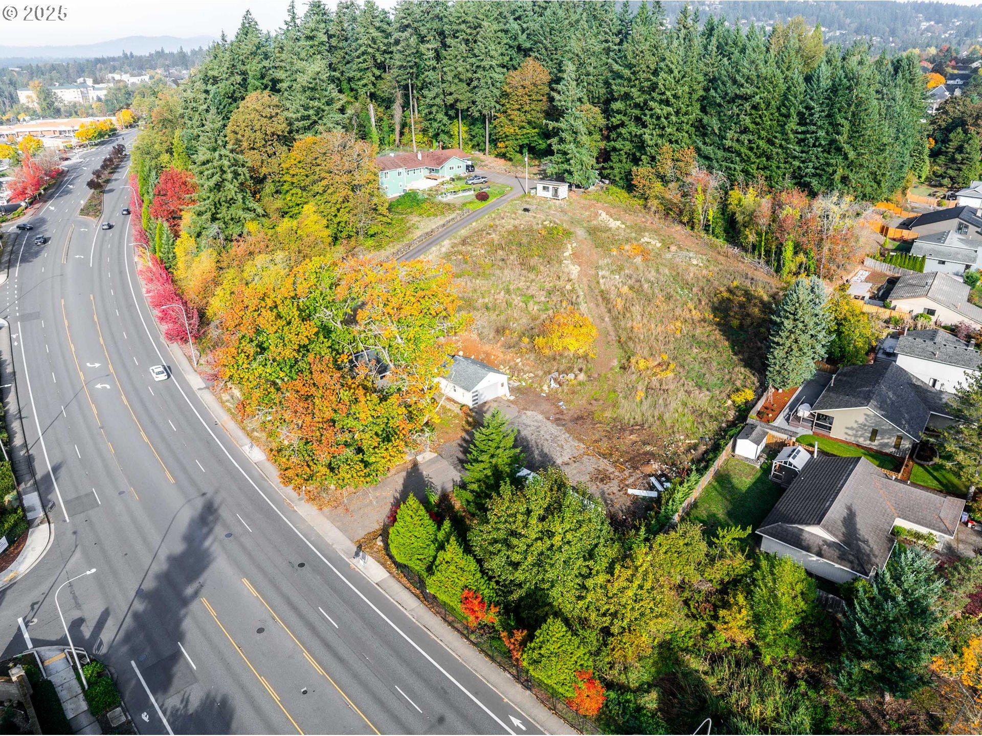 12533 Southeast Sunnyside Road Clackamas, OR 97015 - Photo 3 of 29 a view of a garden with plants