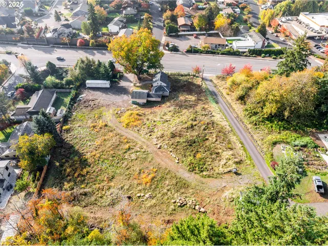 a view of a yard with plants