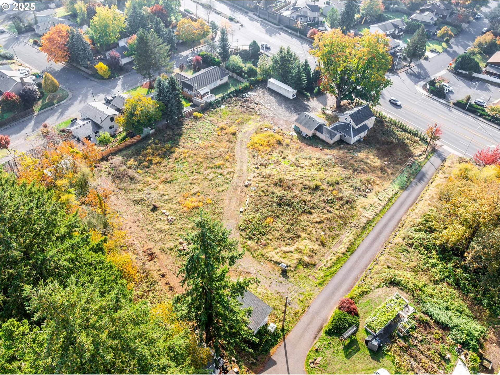12533 Southeast Sunnyside Road Clackamas, OR 97015 - Photo 7 of 29 a view of a yard with plants