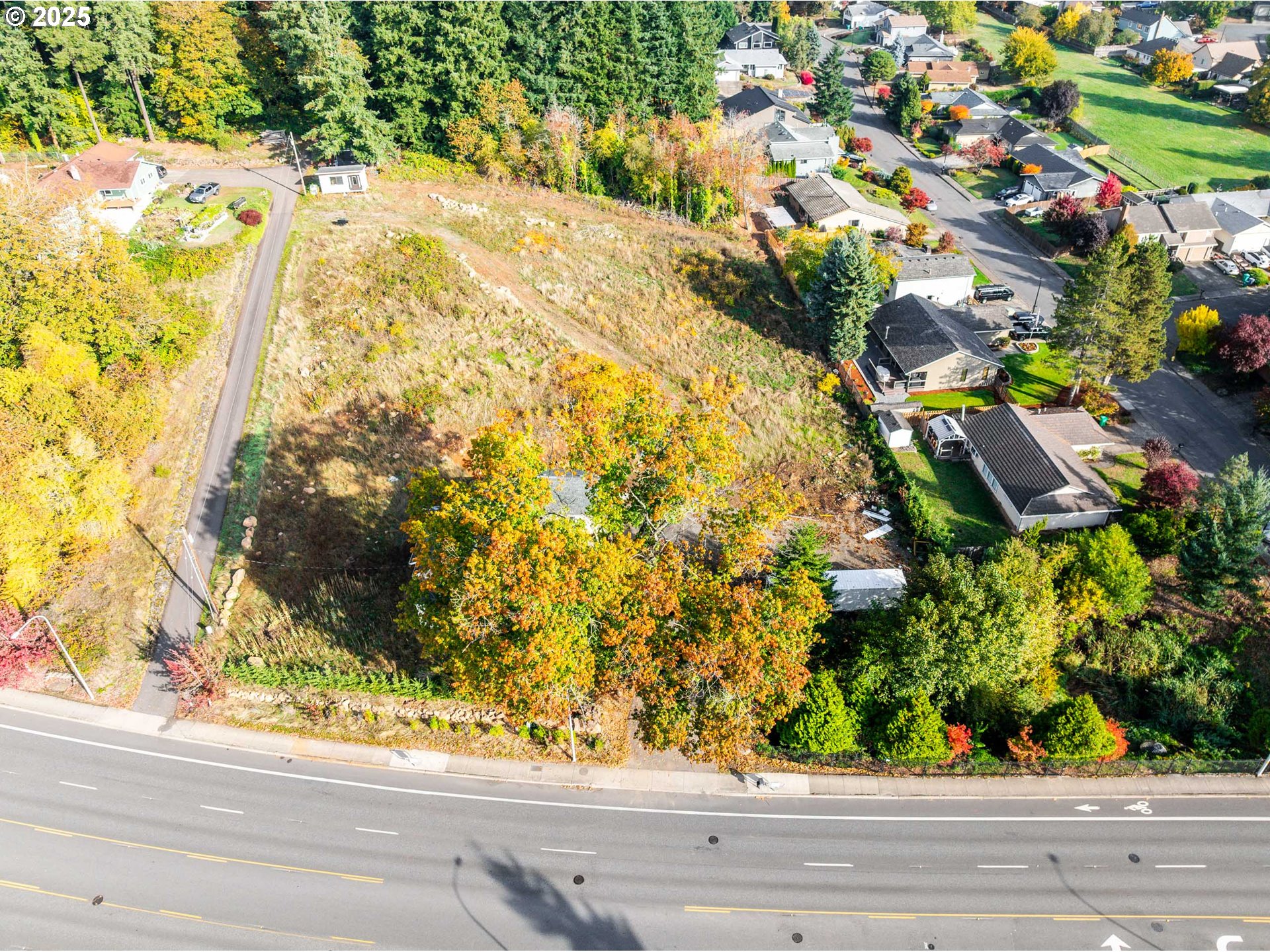 12533 Southeast Sunnyside Road Clackamas, OR 97015 - Photo 10 of 29 a view of a yard