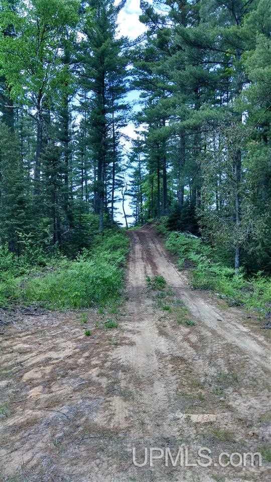 N1766 Old Plank Road Wetmore, MI 49895 - Photo 13 of 25