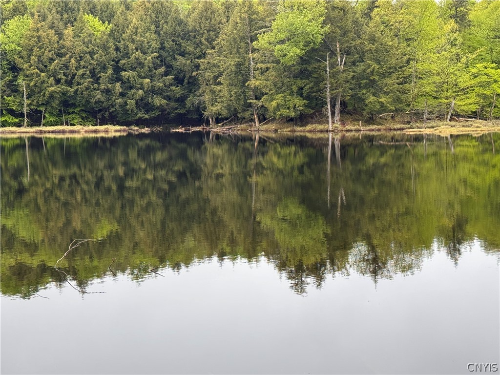 0 Hawkinsville Road Woodgate, NY 13494 - Photo 19 of 27