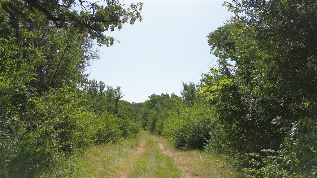 Tbd Nash Road Jacksboro, TX 76458 - Photo 22 of 28 Wooded property featuring a grassy path and dense tree coverage
