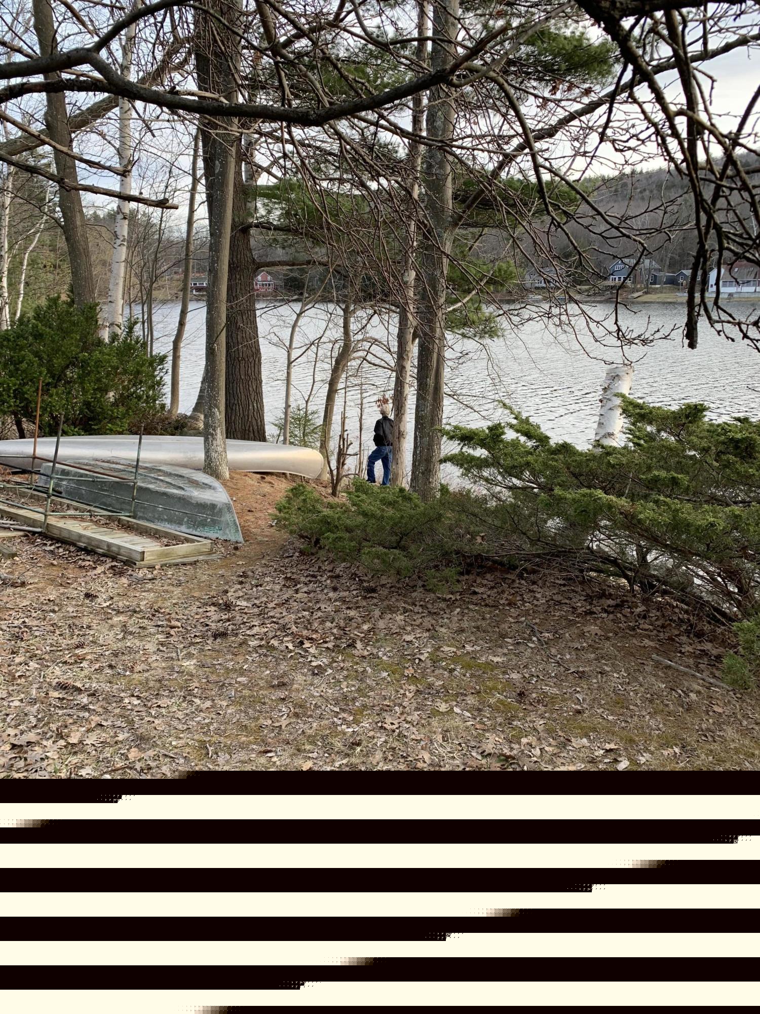 3582 Jacobs Ladder Road Becket, MA 01223 - Photo 2 of 32 a view of a yard with plants and a large tree