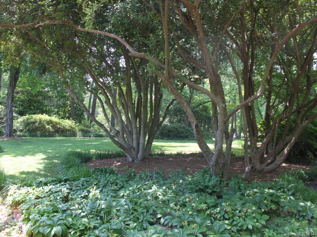 4022 Churchill Road Charlotte, NC 28211 - Photo 3 of 24 Gallery Image 3