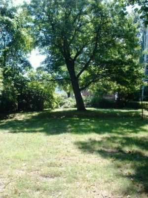 524 Old Farm Road Pittsburgh, PA 15234 - Photo 8 of 8 Yard/Garden.