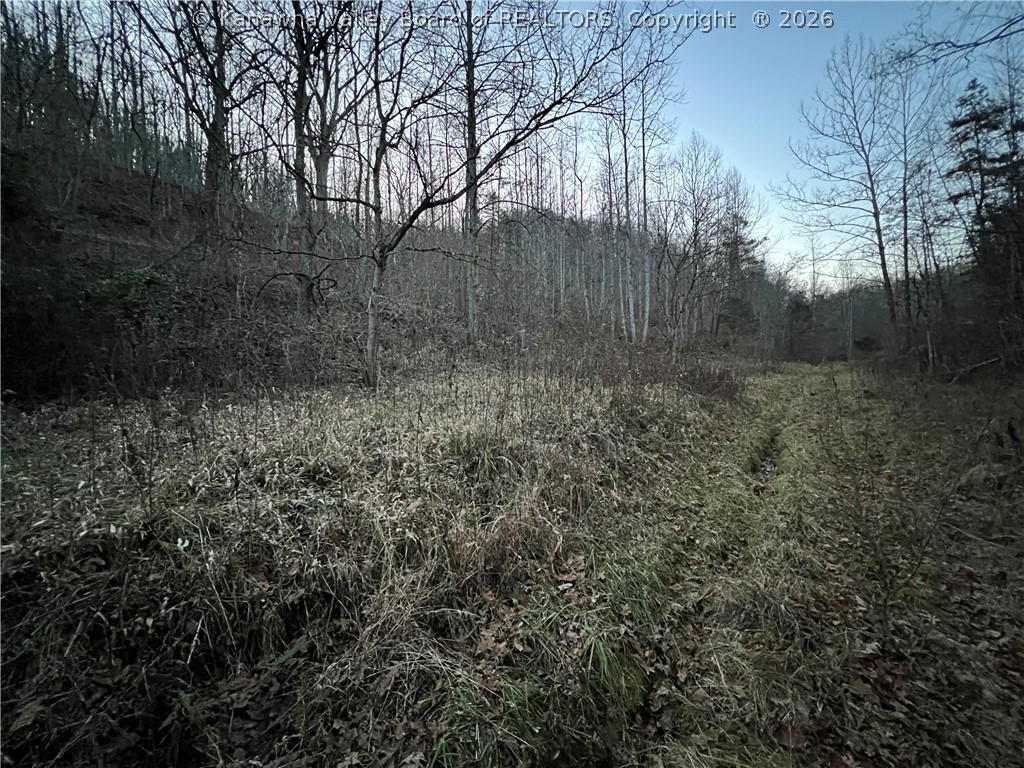 448 Mathews Branch Road Kenna, WV 25248 - Photo 2 of 4 Gallery Image 2