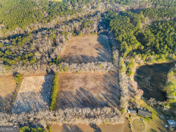 0 Maria Sorrell Road Statesboro, GA 30461 - Photo 5 of 5 a backyard of a house