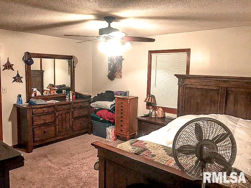 7375 Brown Road Galatia, IL 62935 - Photo 13 of 34
