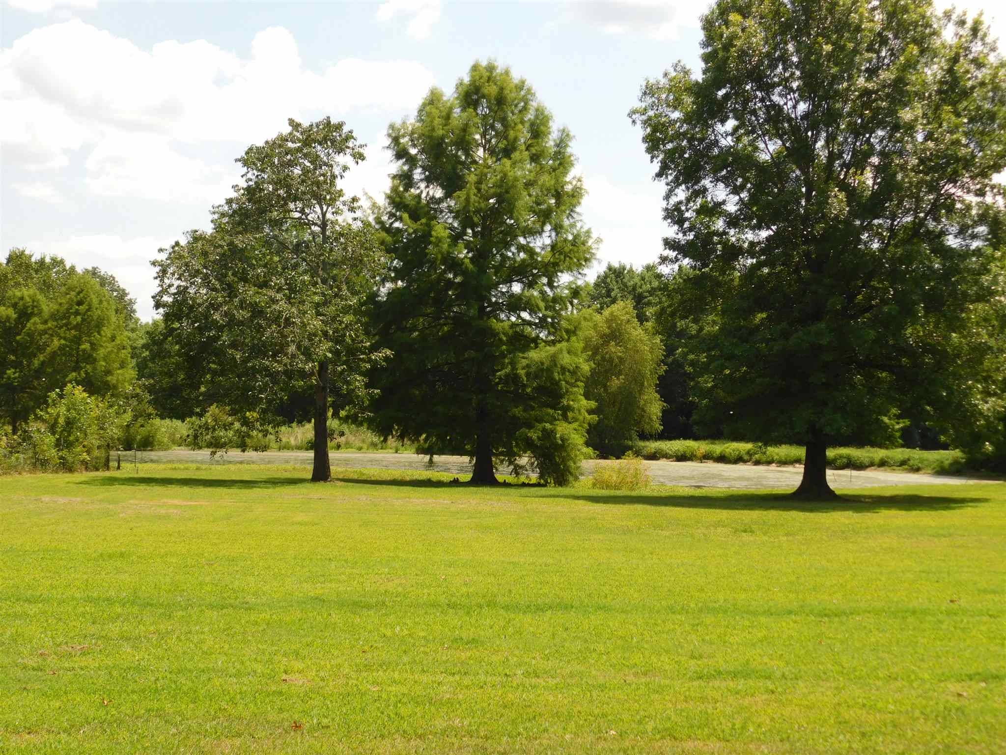 7375 Brown Road Galatia, IL 62935 - Photo 25 of 34