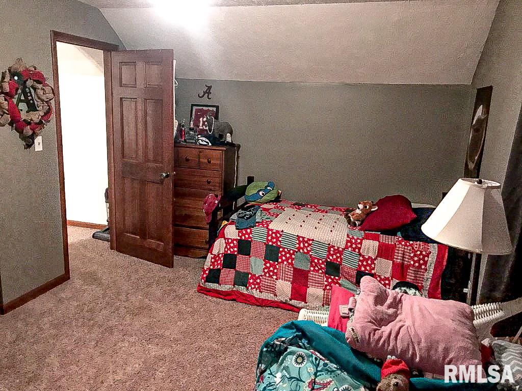 7375 Brown Road Galatia, IL 62935 - Photo 7 of 34