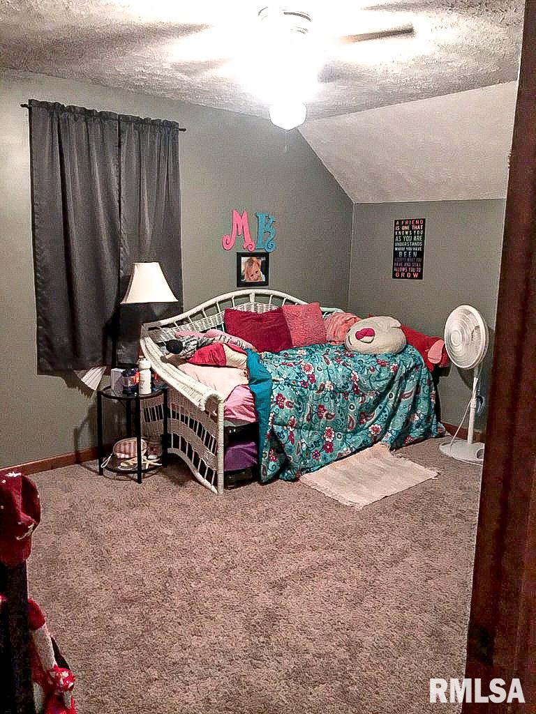 7375 Brown Road Galatia, IL 62935 - Photo 8 of 34