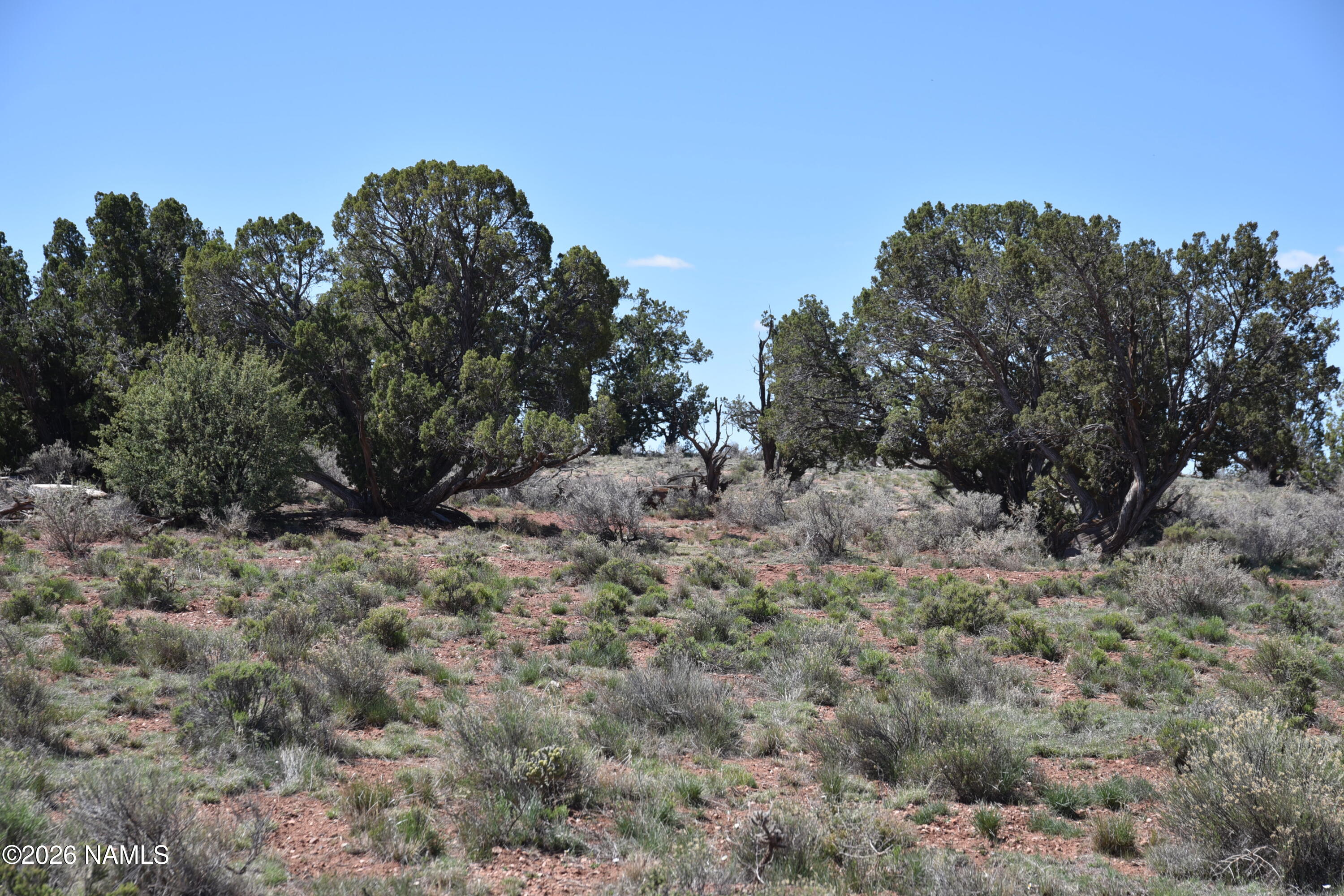 1348 East Indian Meadows Road Williams, AZ 86046 - Photo 14 of 18 DSC_5088