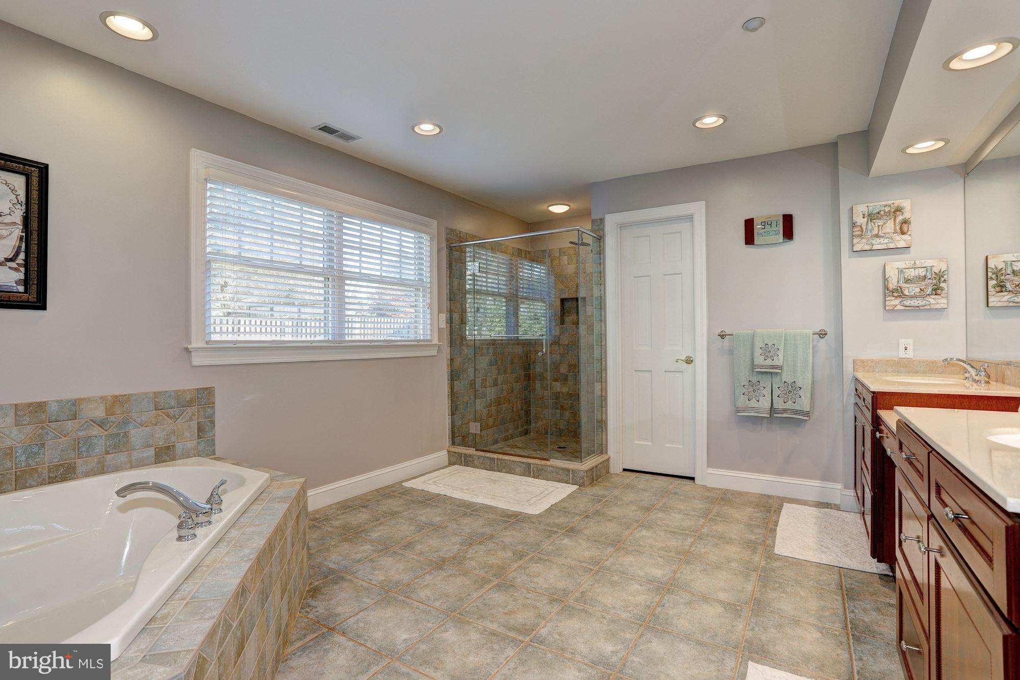390 Ridgely Avenue Annapolis, MD 21401 - Photo 13 of 32 Spa-like Master Bath and Separate Shower