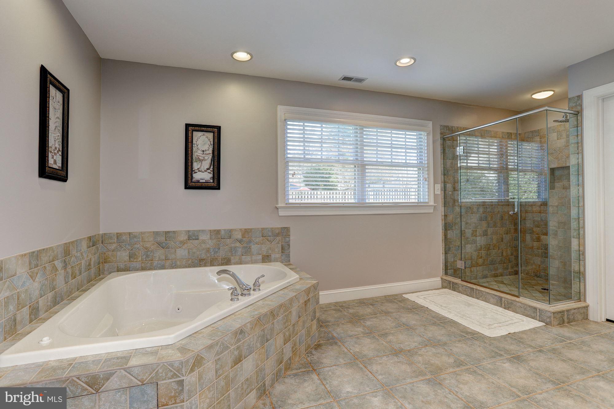 390 Ridgely Avenue Annapolis, MD 21401 - Photo 14 of 32 Large Soaking Tub