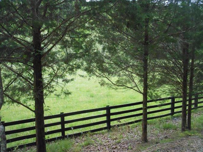 639 Ratliff Road Frenchburg, KY 40322 - Photo 46 of 61 Photo 46