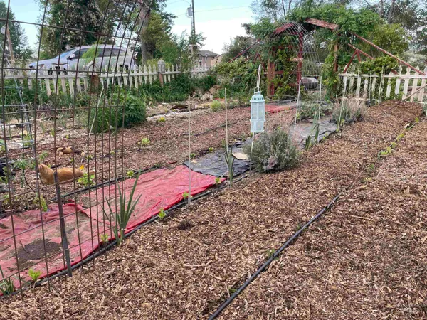 $330,000 | 4343 North 1200 East, Buhl, ID 83316