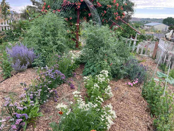 $330,000 | 4343 North 1200 East, Buhl, ID 83316