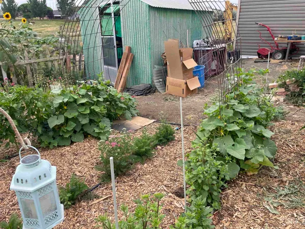 $330,000 | 4343 North 1200 East, Buhl, ID 83316