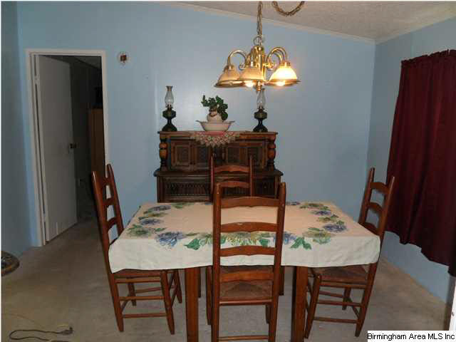 4185 Warrior Jasper Road Dora, AL 35062 - Photo 6 of 32
