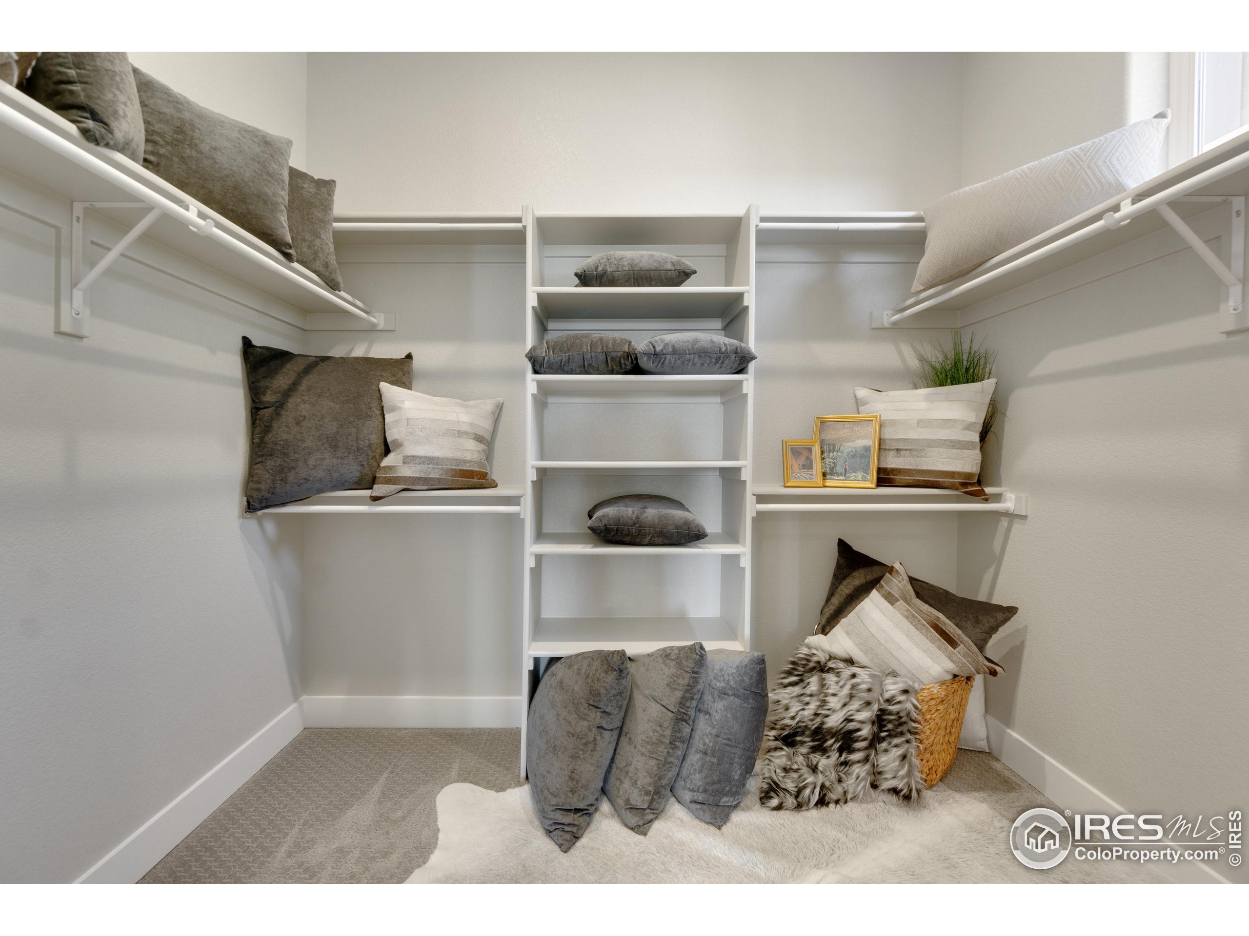 2039 Morningstar Way Fort Collins, CO 80524 - Photo 19 of 34