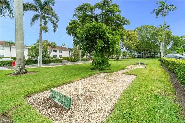 a view of a yard with palm trees