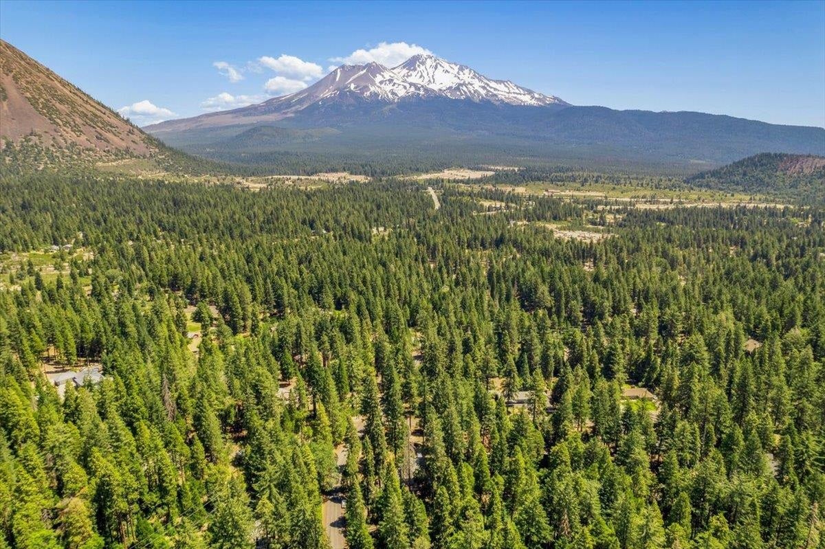 2209 Davis Place Road Mount Shasta, CA 96067 - Photo 26 of 29 Gallery Image 26