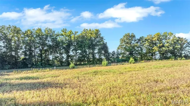 $819,999 | 762 Cave Farm Road, Troy, MO 63379