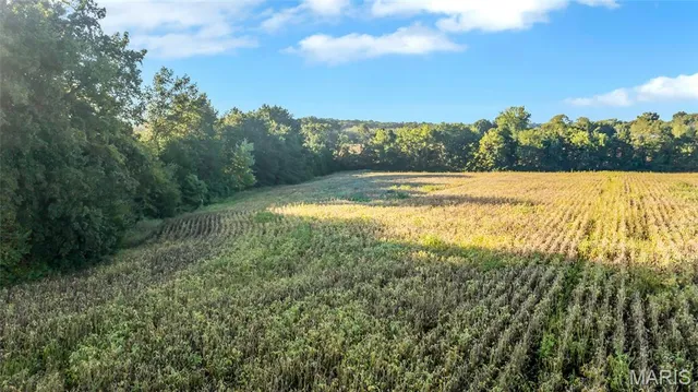 $819,999 | 762 Cave Farm Road, Troy, MO 63379