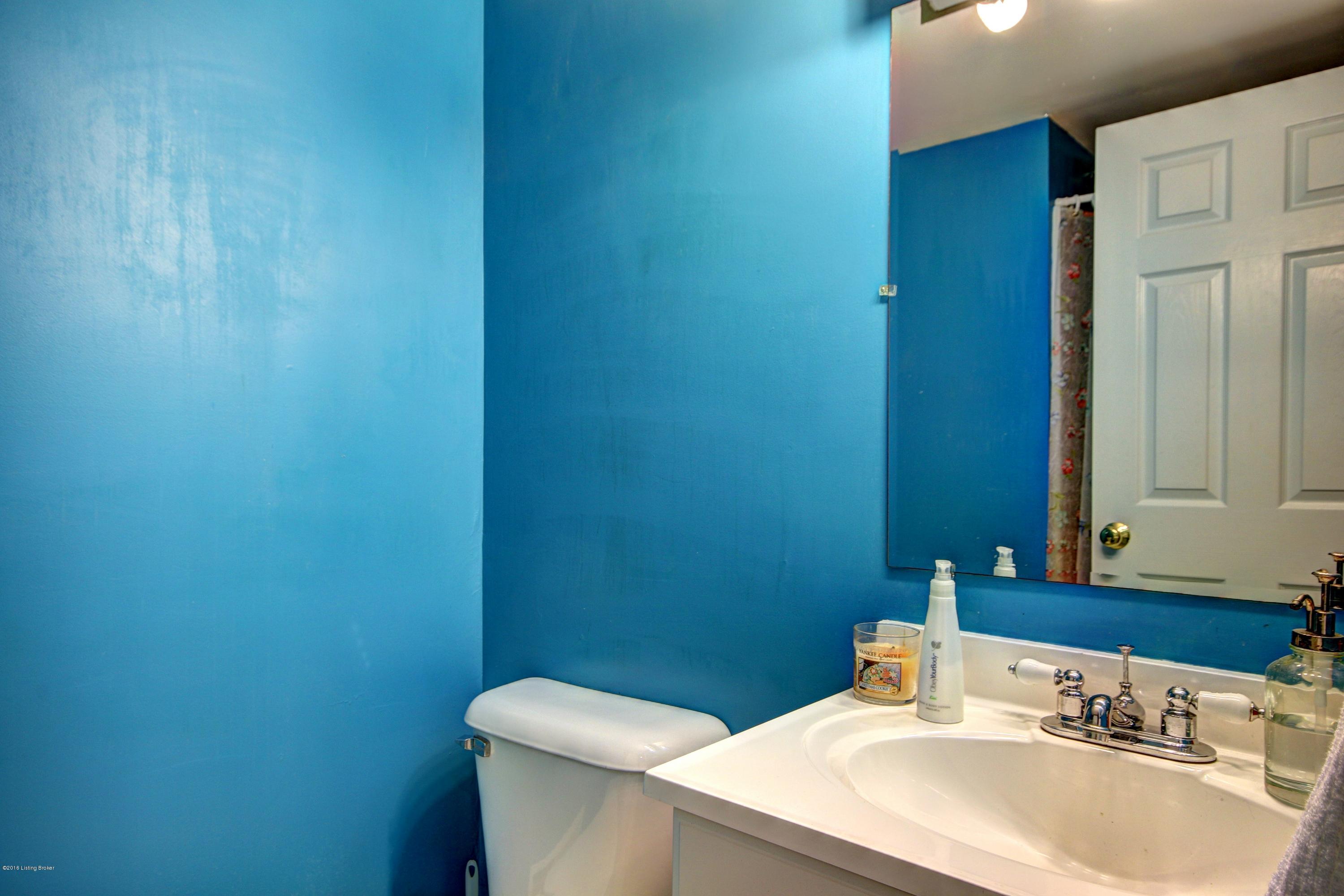 1407 Autumn Ridge Road Louisville, KY 40242 - Photo 30 of 41 Full bath in basement