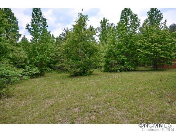 517 Tugaloo Road Landrum, SC 29356 - Photo 13 of 14 a view of a yard with a tree
