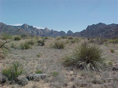 208 East Diamondback Road St. David, AZ 85630 - Photo 3 of 7 Gallery Image 3