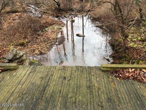 0 Wallis Run Road Trout Run, PA 17771 - Photo 4 of 10 Gallery Image 4