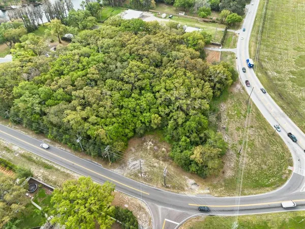 a view of a garden from a window