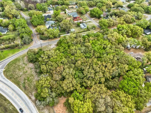 a view of a garden with a plant