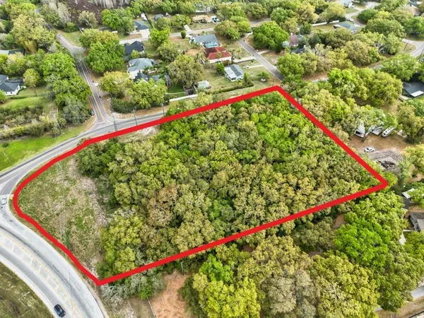 a view of a yard with plants