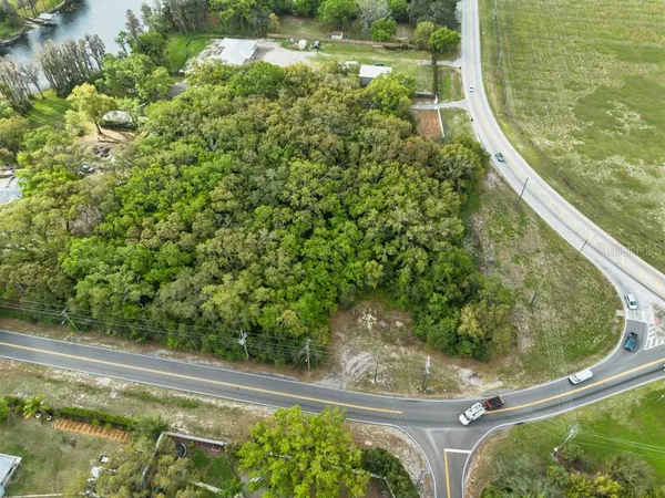 a view of a garden from a window